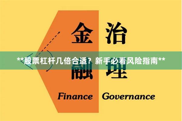 **股票杠杆几倍合适？新手必看风险指南**